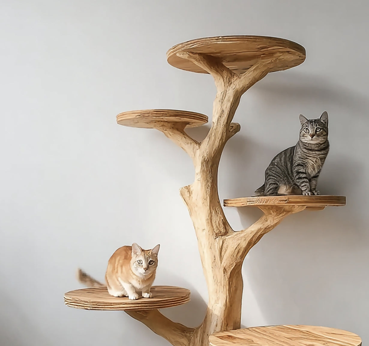 Arbre à Chat Rustique Style Bibliothèque – Meuble Design pour Salon