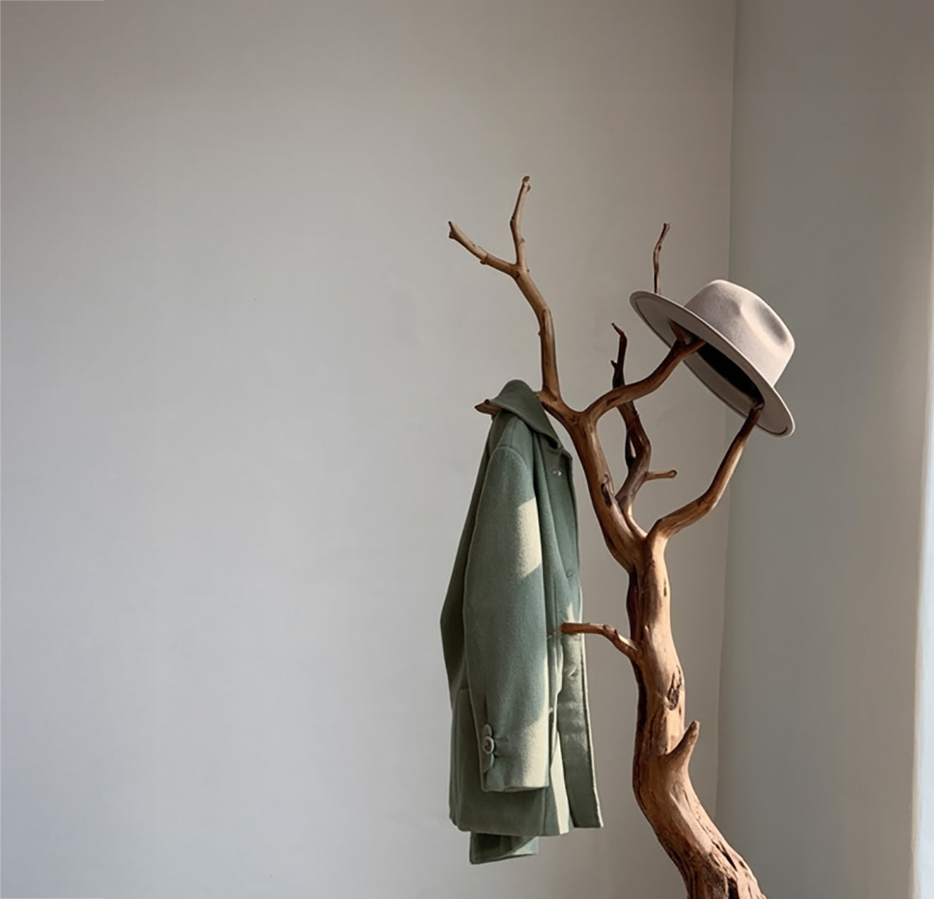 Porte-Manteau Branche d’Arbre en Bois Naturel Massif sur Pied